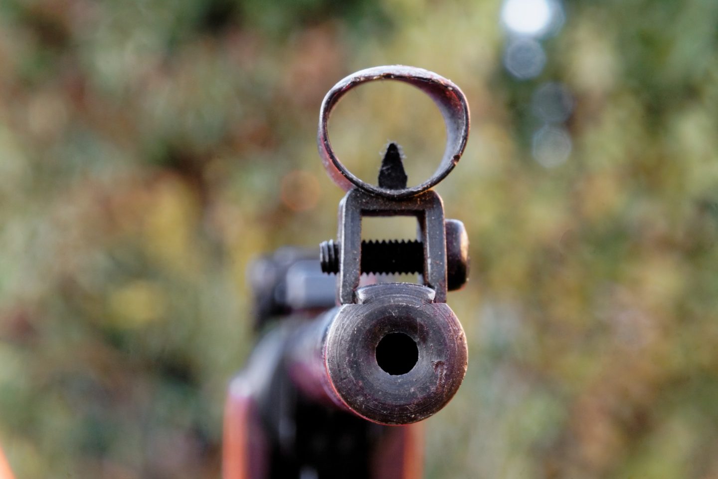 Air Rifle