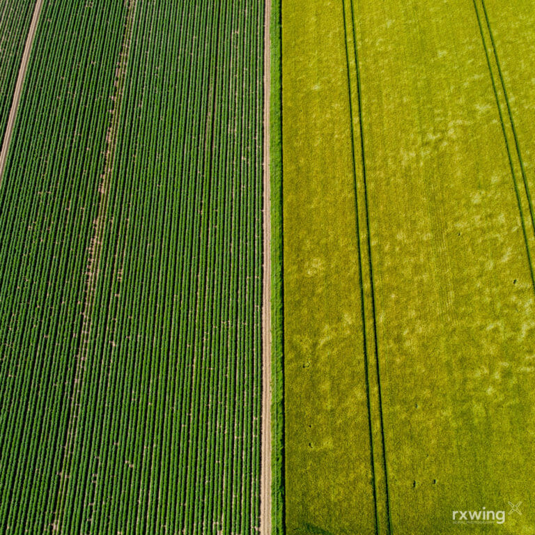Potatoes & Barley, Perthshire