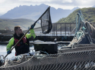 Troubled waters: communities at odds on fish farming 8