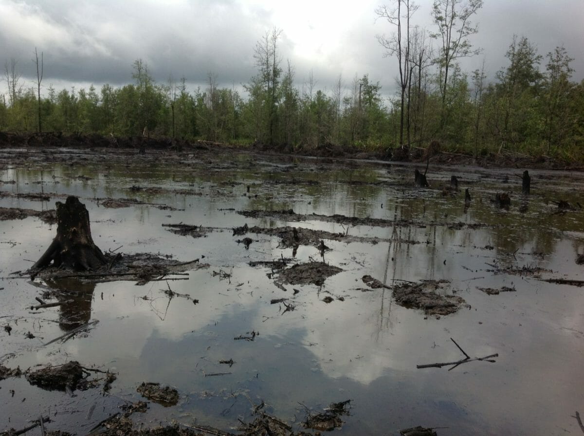'Killing us all': stories from the front line of the climate crisis 7