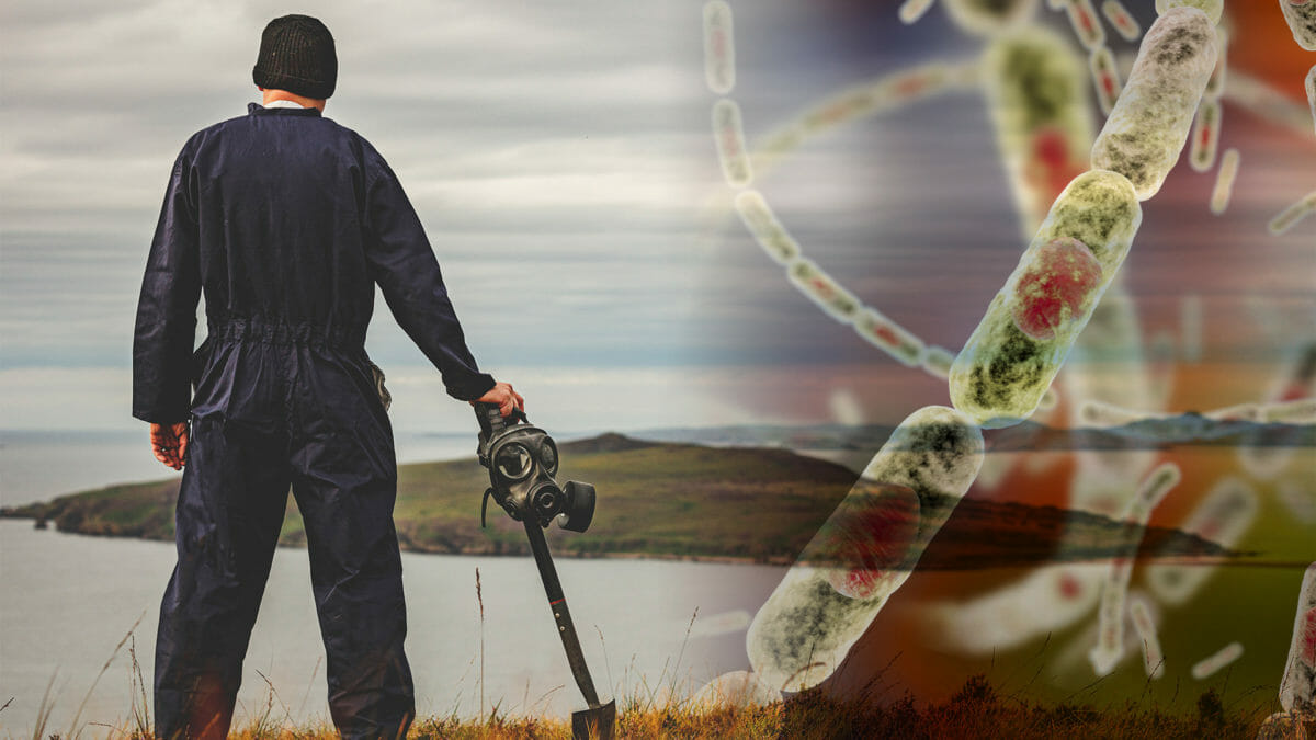 Revealed: MoD cover-up on Gruinard anthrax contamination 6