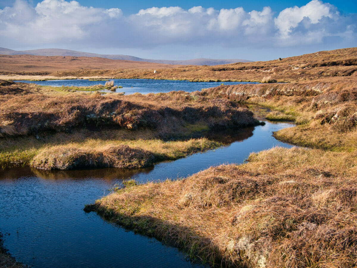 peat