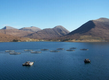 Fish Farm