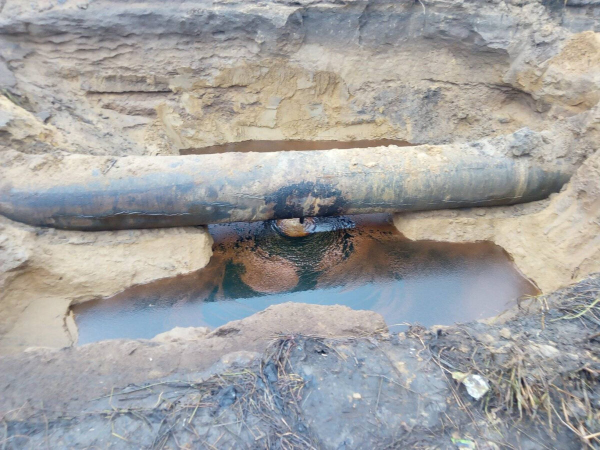 Oil spill by Shell in Nigeria polluted water and killed wildlife 13