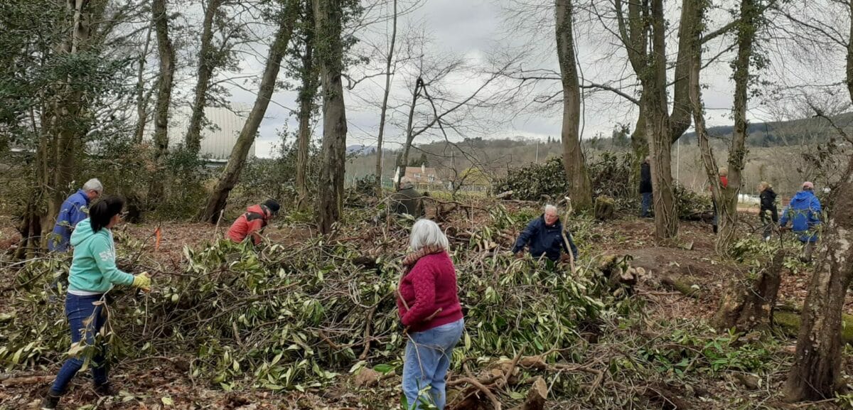 Just two communities bid for right to buy neglected land in five years 15