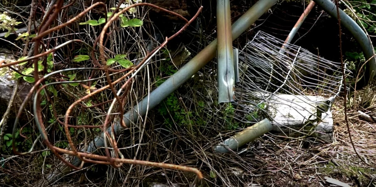 Just two communities bid for right to buy neglected land in five years 10