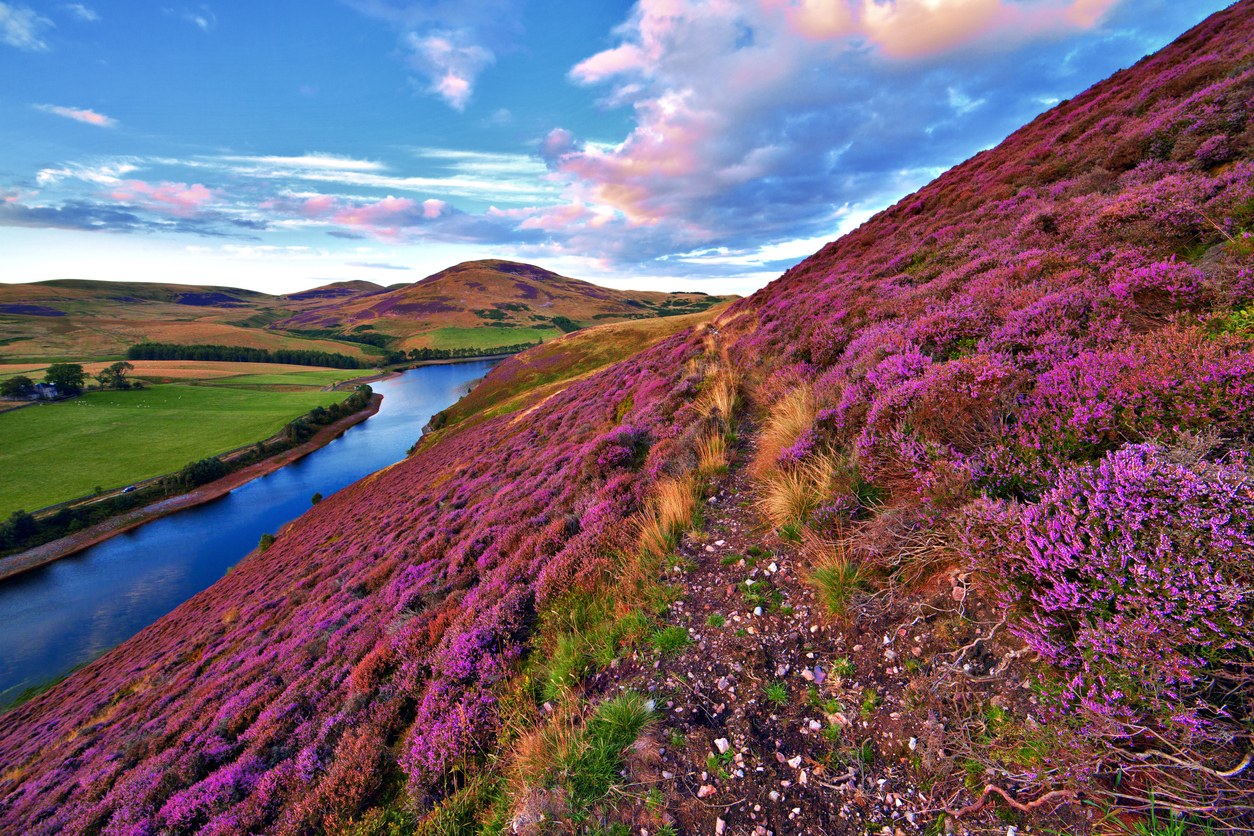 pentland hills access