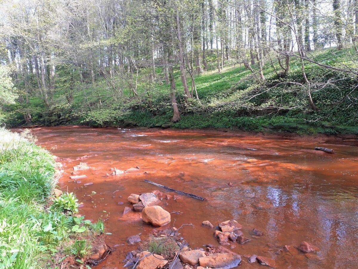 More than 50 waters fail quality tests due to metal pollution from mines 2