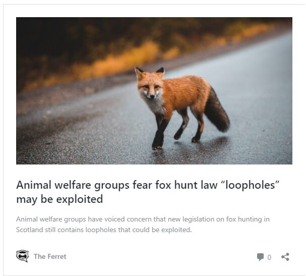 Animal welfare: A review of The Ferret’s coverage in 2023 5