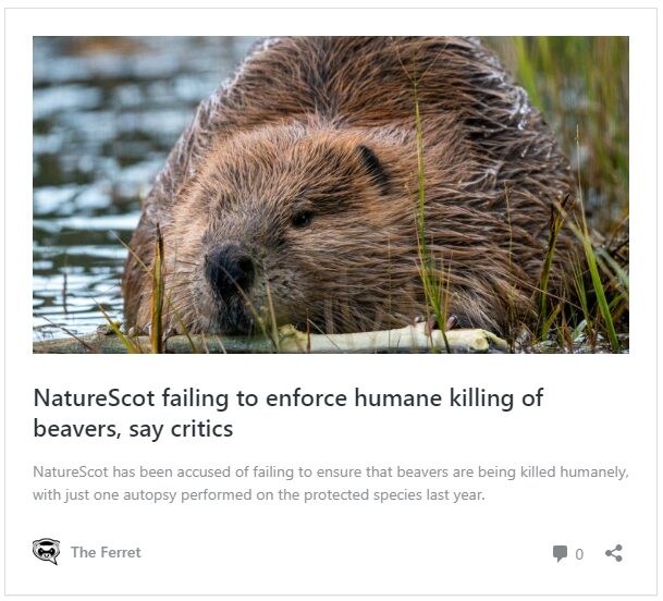 Animal welfare: A review of The Ferret’s coverage in 2023 10