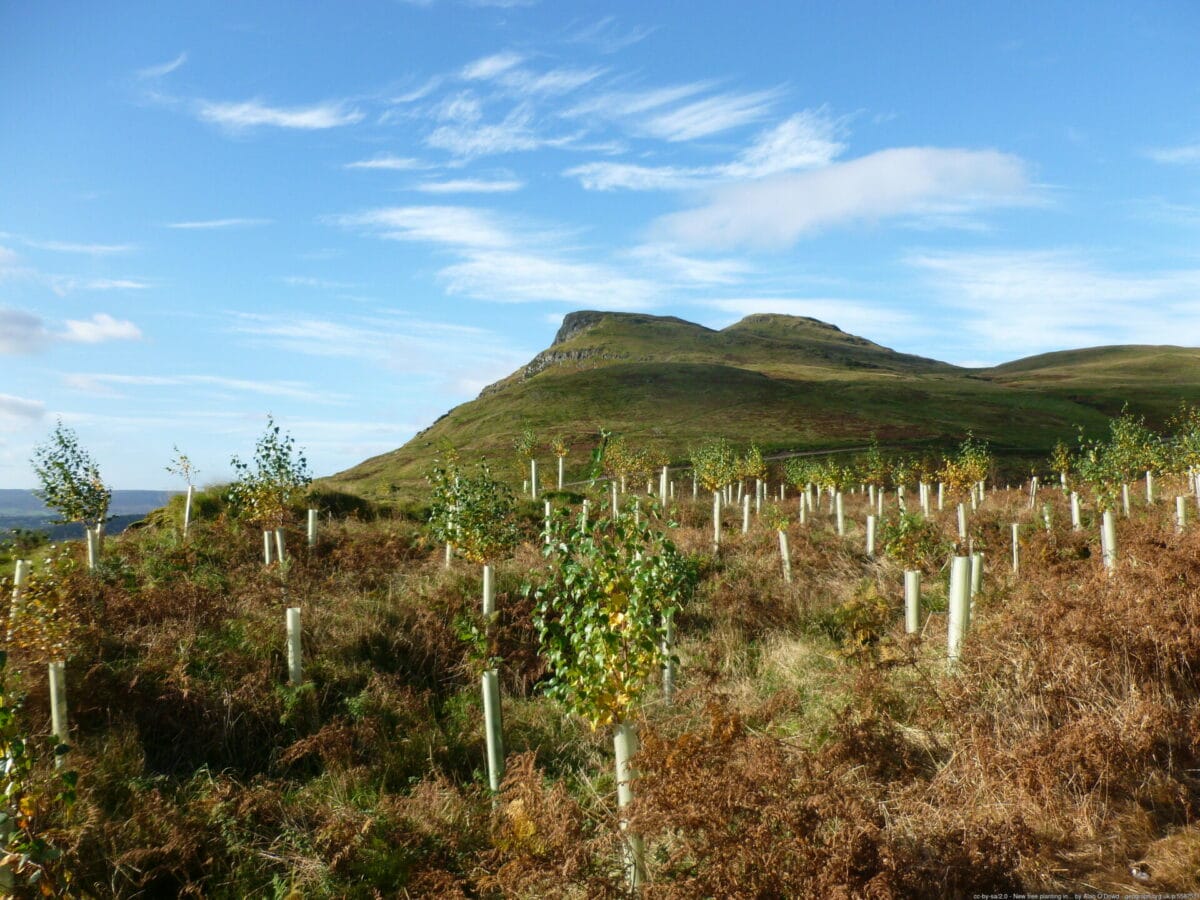 Land Reform
