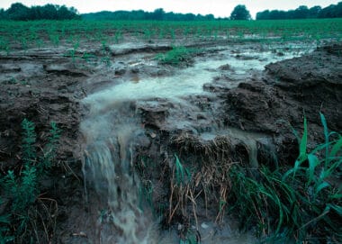 Farming and forestry pollution sees hundreds of waterways downgraded 12