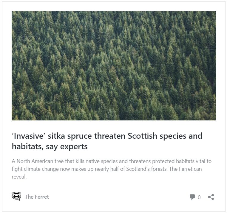 Non-native trees dominate Galloway forest at centre of would-be national park 9