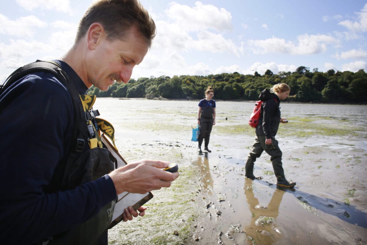 Lungs of the ocean: The underwater 'weed' that could help Scotland tackle climate change 9