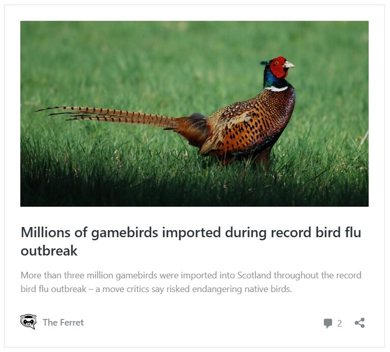 Releasing pheasants boosts Lyme disease risk, claims new study 8