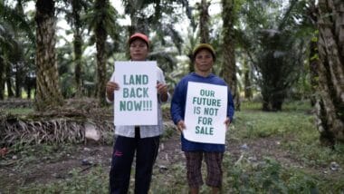 Headline: Tory-linked firm probed by UN over human rights allegations in Indonesia Image description: Members of the Sinar Rio Jaya Farmers Group, Rio Mukti village, Donggala Regency | March 2024