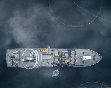 Headline: 135,000 fish die at Torridon salmon farm Image description: Aquaculture well boat/service boat in operation