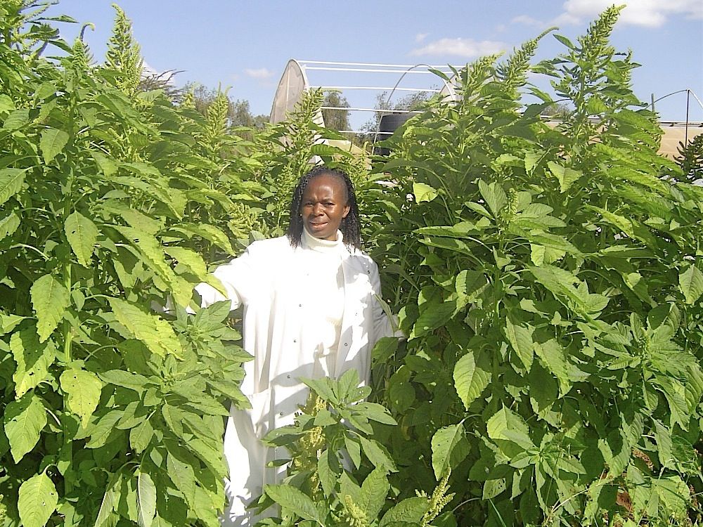 Professor Mary Abukutsa-Onyango