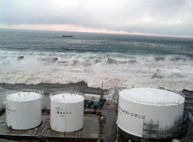 Revealed: the government’s plan to play down Fukushima 8