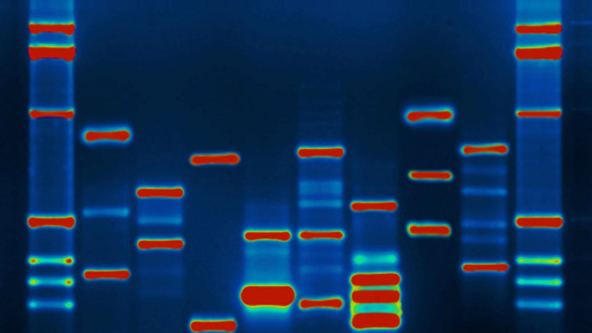 DNA-image