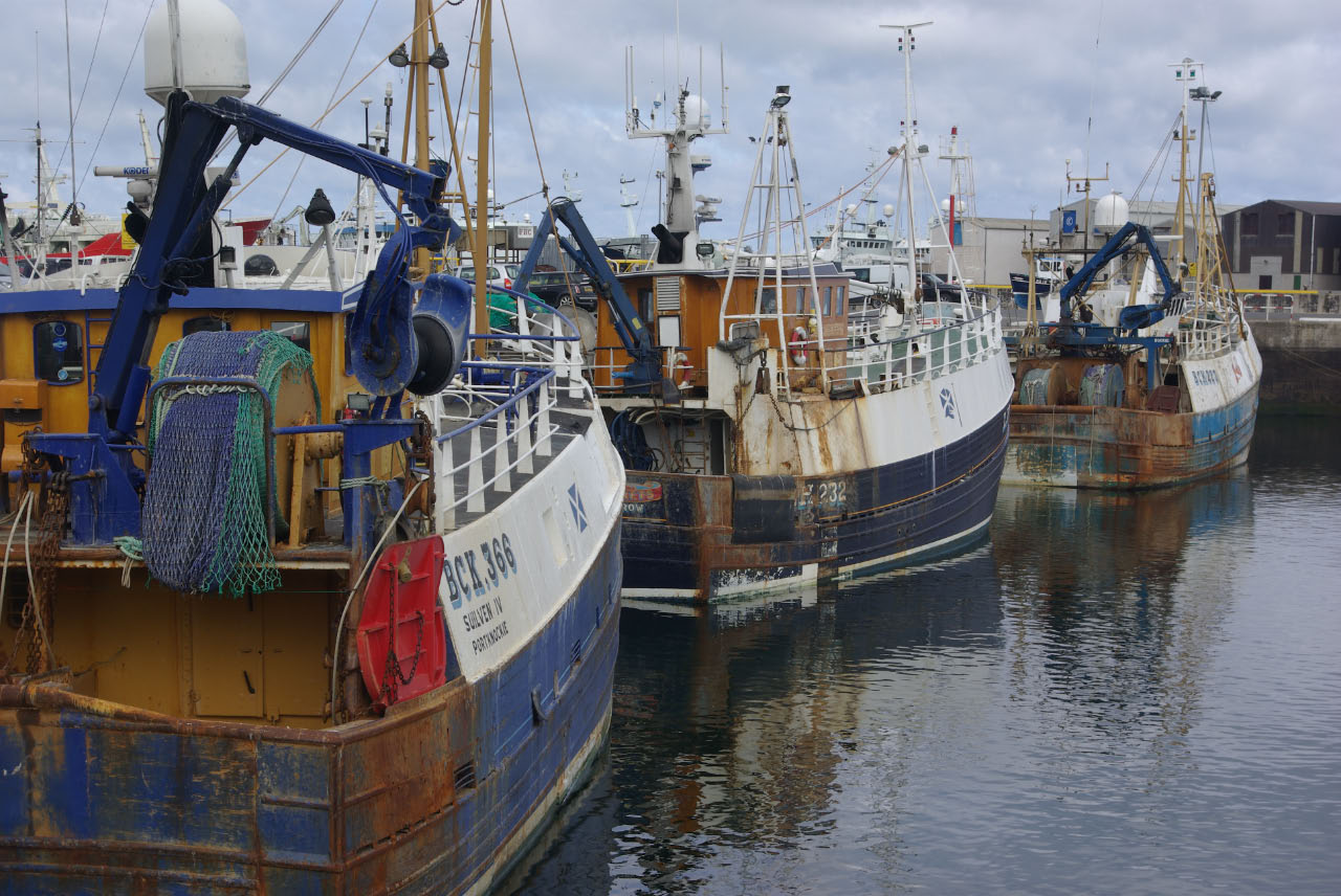Common Fisheries Policy has not 'devastated' North-East fishing industry 4