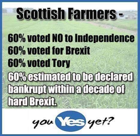 Claim 60 per cent of Scots farmers voted for Brexit, Tories and against independence is Mostly False 7