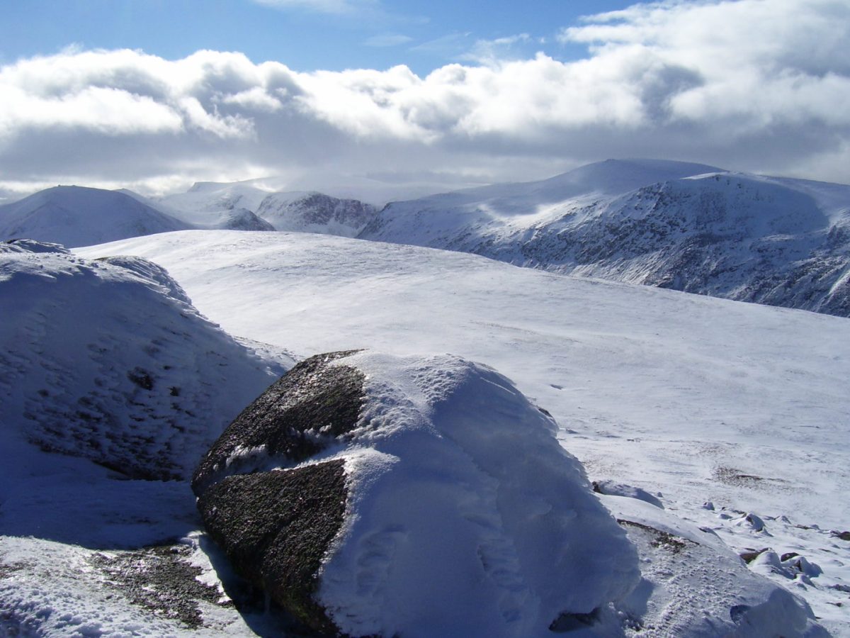 Cairngorms1 Exhaust fumes blamed for killing mountain wildlife 7