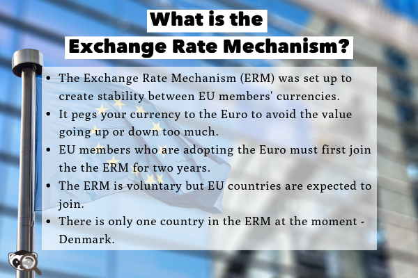 What-is-the-Exchange-Rate-Mechanism_