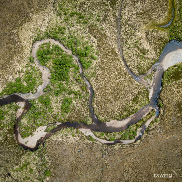 Regeneration, Isle of Harris