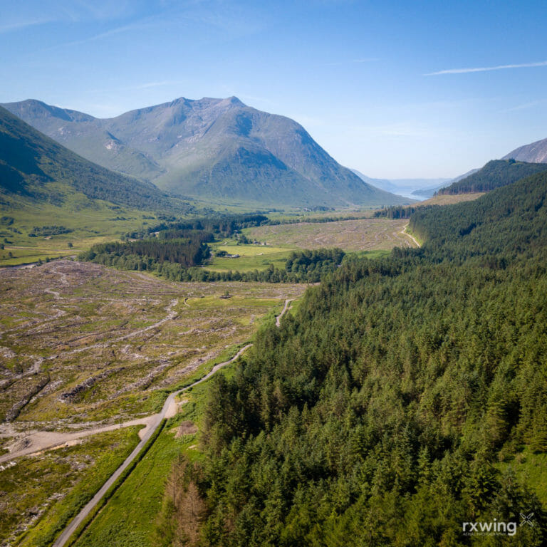 Clear Felling, Glen Etive