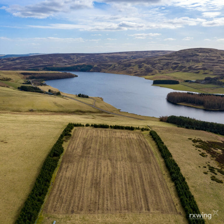 Selective tree felling, East Lothian