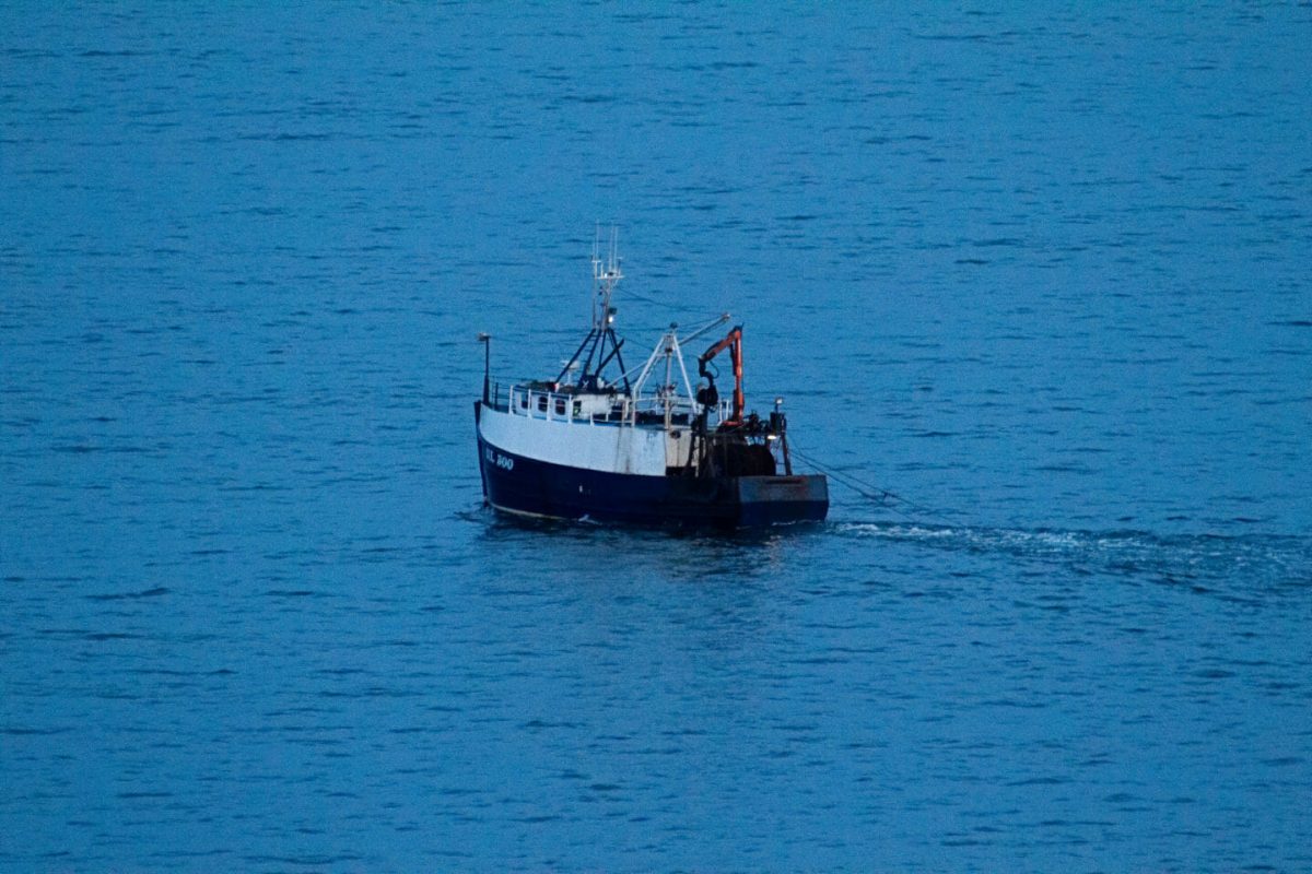 IL 300 trawling in the reserve 14102019 Squid trawlers under fire for entering protected waters 5