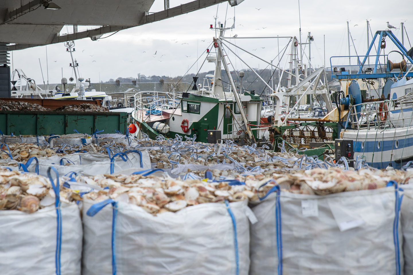 Fines to rogue fishermen fall and illegal fishing escapes prosecution 4