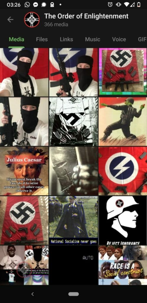 Screenshot of images uploaded to a Patriotic Alternative group