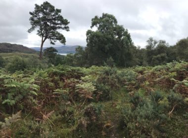 Highland estate owner breaching public access rights, say locals 12