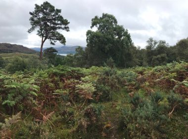 Highland estate owner breaching public access rights, say locals 5