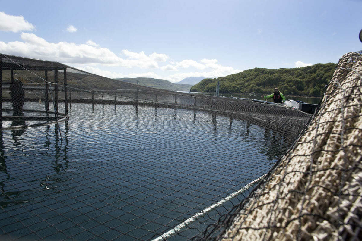 Troubled waters: communities at odds on fish farming 12
