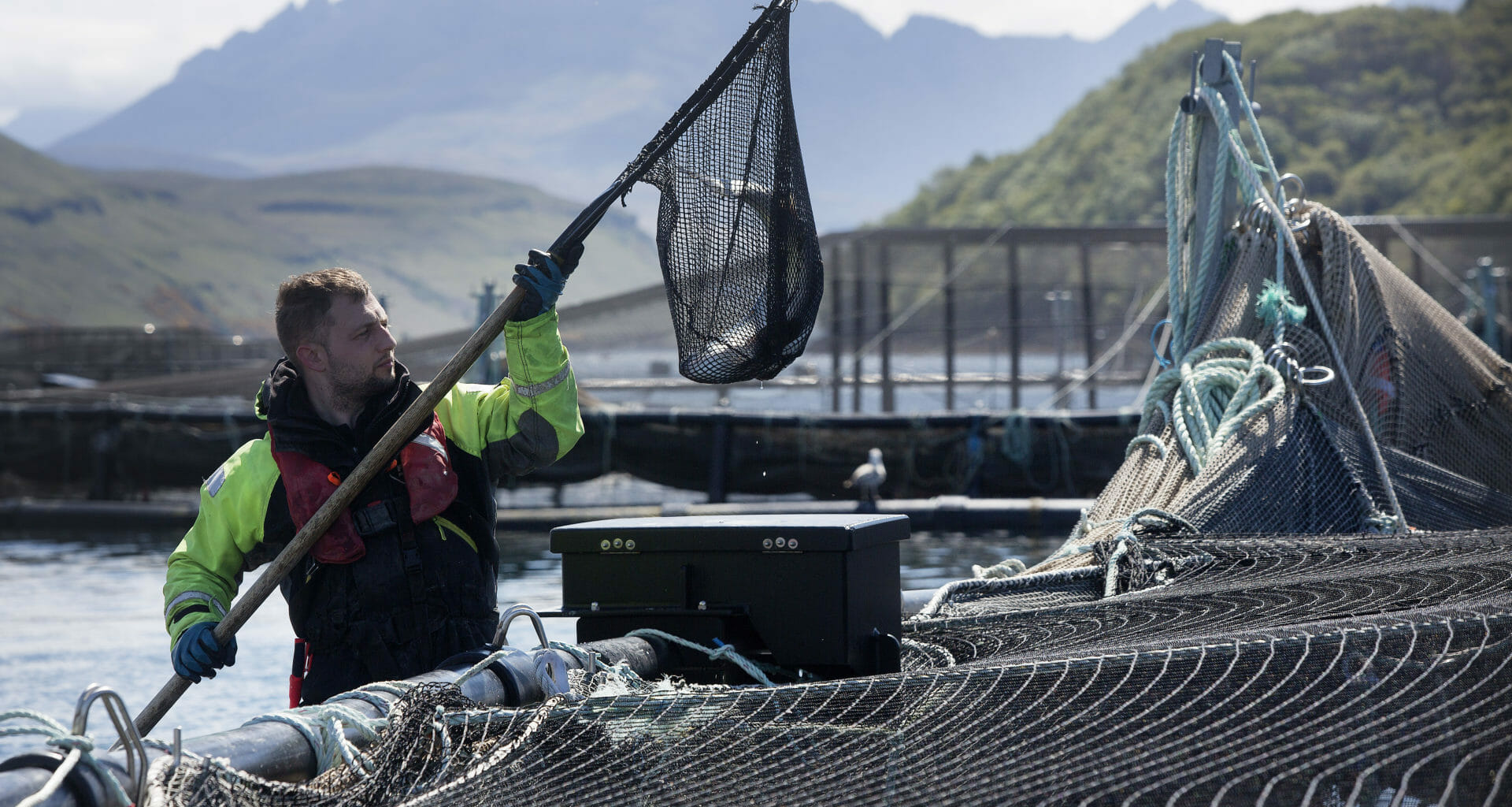 Troubled waters: communities at odds on fish farming 3
