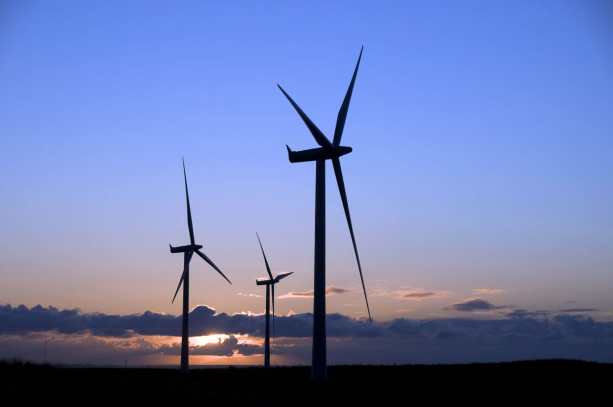 Windfall: one third of Scotland's biggest wind farms linked to tax havens 11