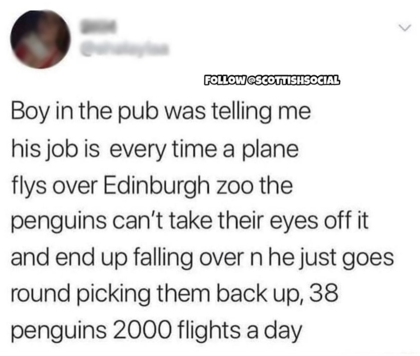 Boy in the pub was telling me his job is every time a plane flys  over Edinburgh zoo the penguins can’t take their eyes off it and end up falling over n  he just goes round picking them up, 38 penguins 2000 flights a day.”
