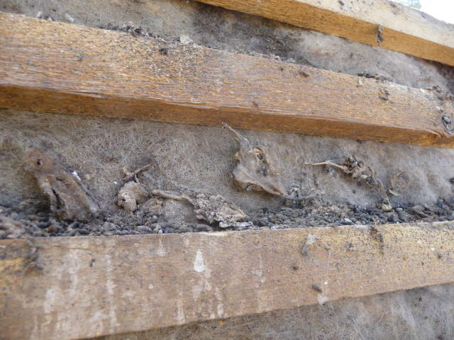 Row erupts over 'bat safe' roofing membrane 5