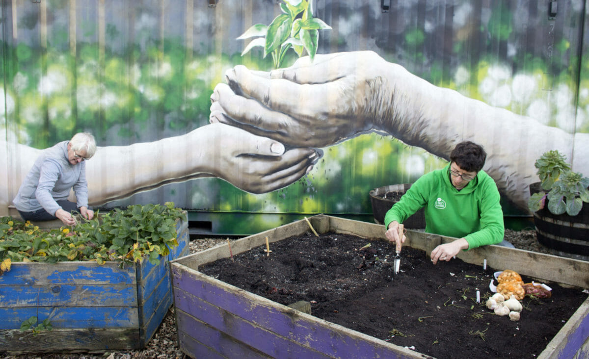 Growing Glasgow: meet the communities finding solutions to food poverty 7