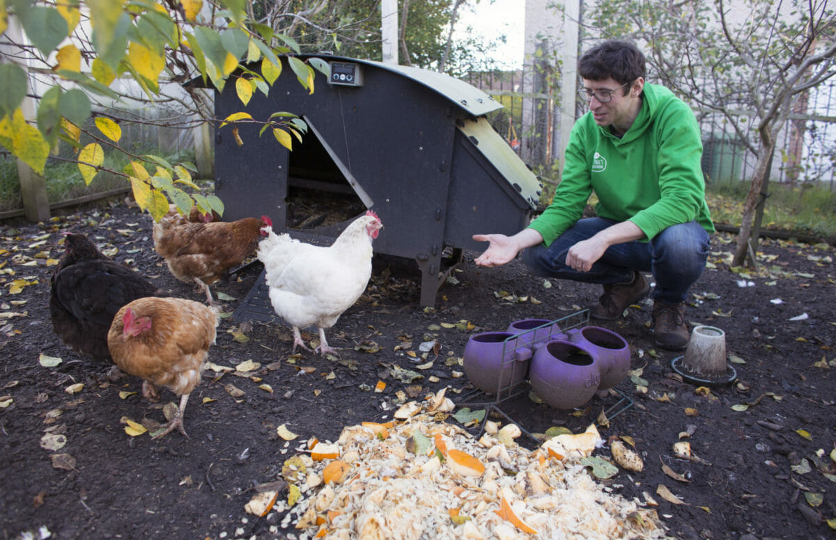 Growing Glasgow: meet the communities finding solutions to food poverty 8