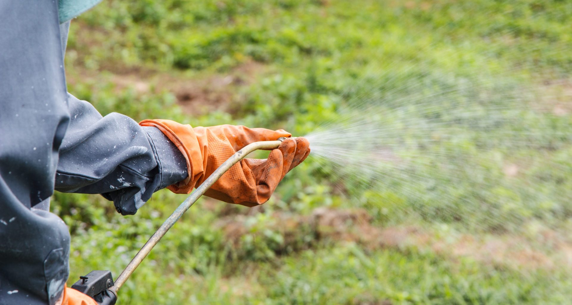 Weed killer linked to cancer still used by every Scots council 7