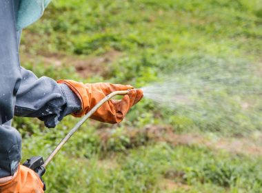 Weed killer linked to cancer still used by every Scots council 8