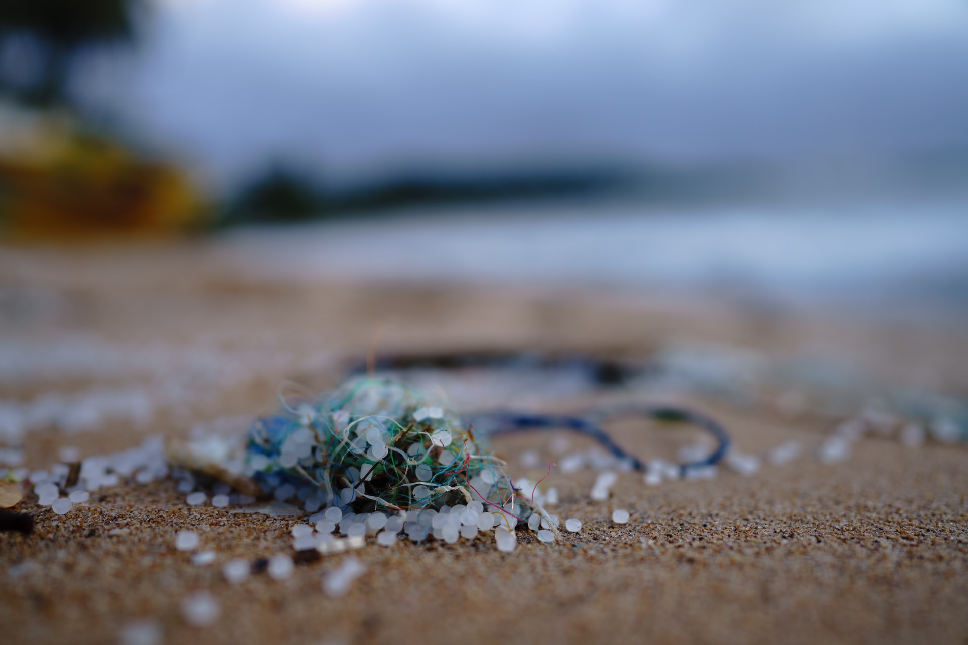 Microplastics in Scotland's seas 2014-2022 3