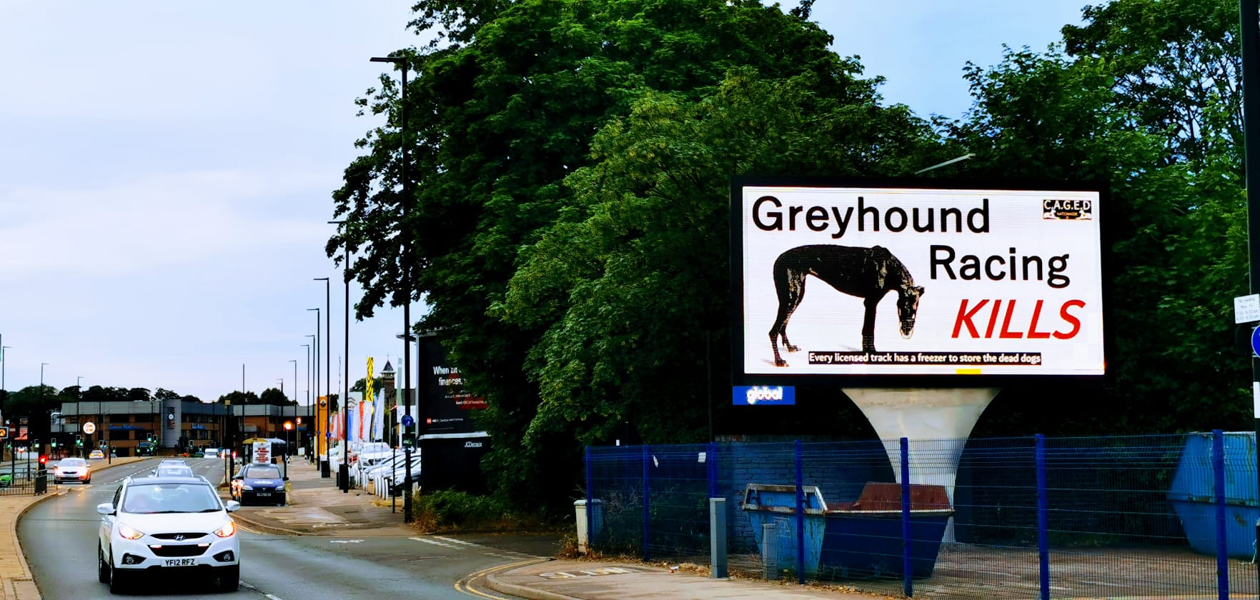 Regulator's complaint over greyhound deaths advert rejected 3