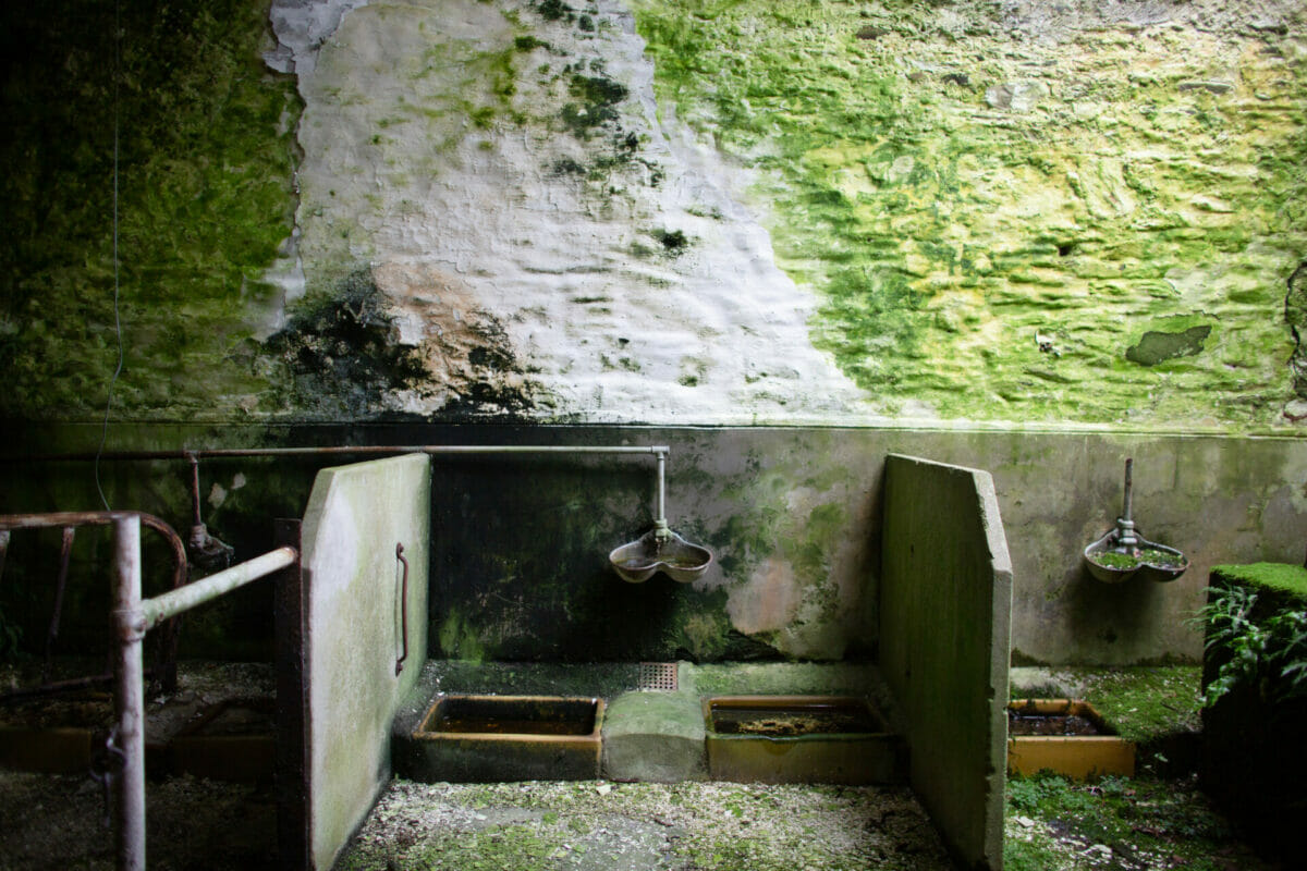 Island depopulation: The battle on Bute 10