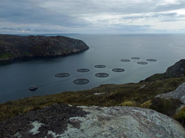 Scottish Government under fire for overruling council decisions to reject new fish farms 1
