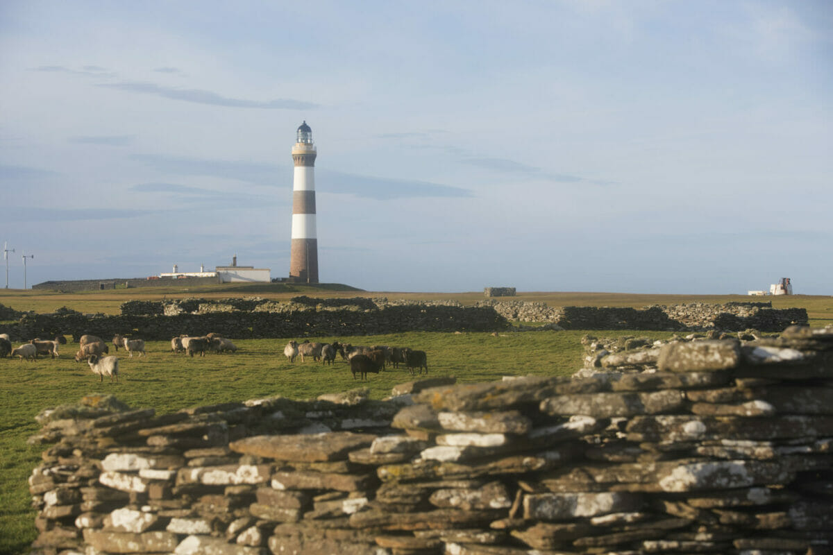 Island Depopulation: Can a small island like North Ronaldsay turn the tides? 19